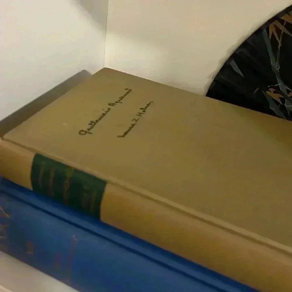 Vintage Novel, Gentleman’s Agreement by Laura z. Hobson - Picture 5 of 7